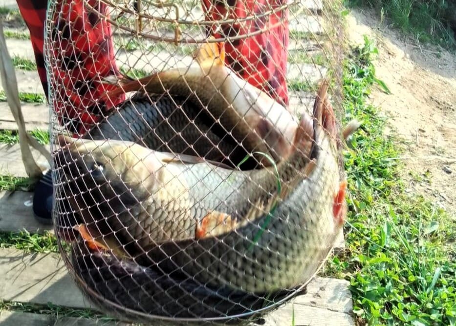 Продажа офиса  